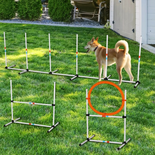 3PC Dog Agility Equipment Set, Obstacle Course Training Exercises For