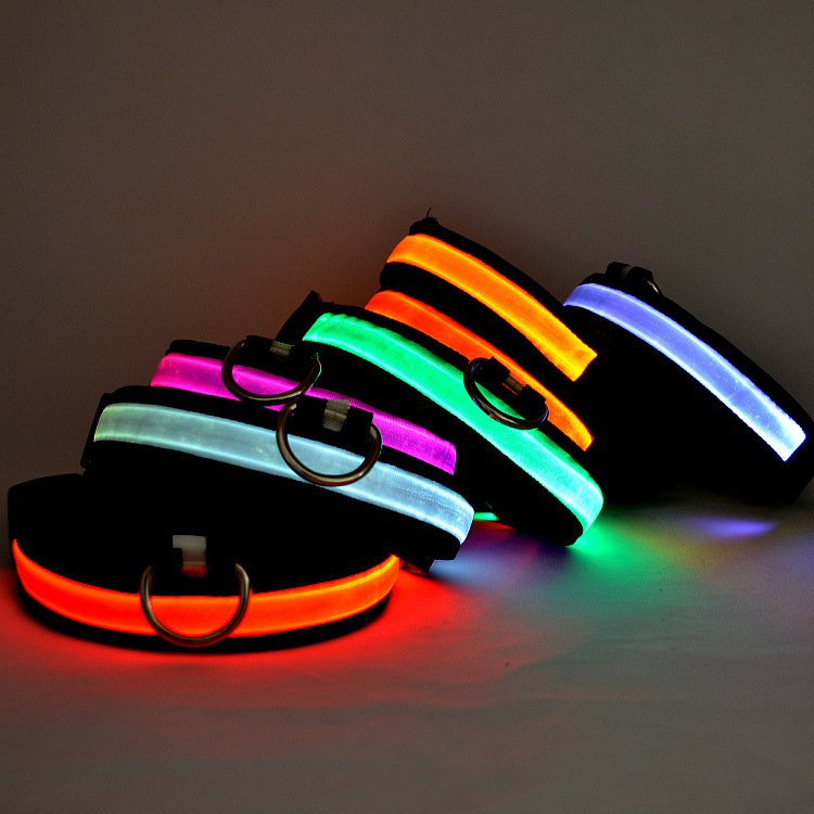 HALO MINI Illuminated Pet Collar