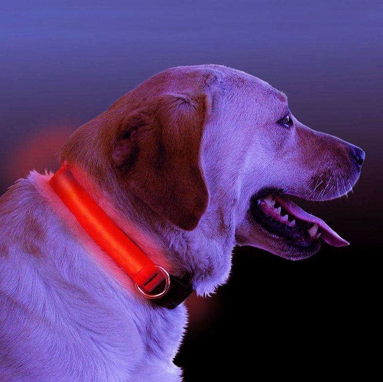 HALO MINI Illuminated Pet Collar